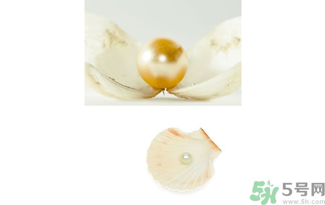 河蚌怎么炒才不會(huì)老？炒河蚌要注意什么？