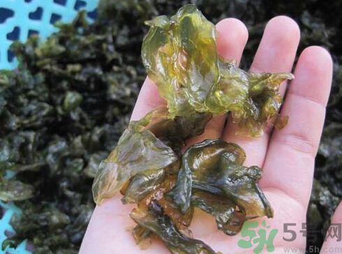 地皮菜孕婦能吃嗎？地皮菜孕婦吃好嗎？