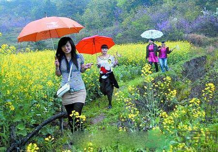 清明節(jié)為什么要踏青？清明節(jié)踏青有什么好處？