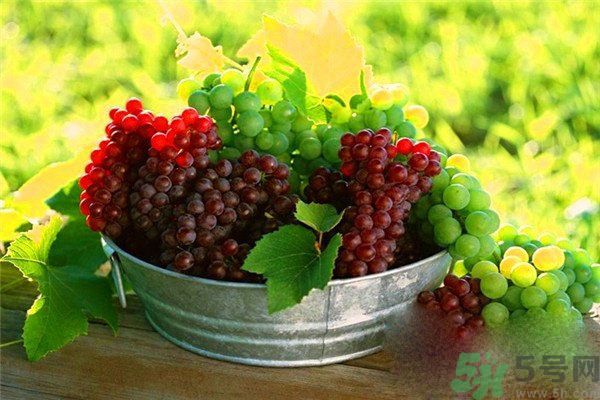 高血脂吃什么水果好？什么水果可以降血脂？