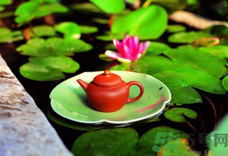 降血脂的茶有哪些？什么茶可以降血脂？