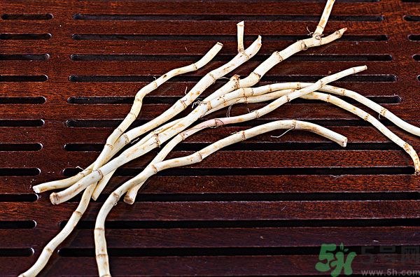 魚腥草能泡水喝嗎？魚腥草泡水喝有什么功效？