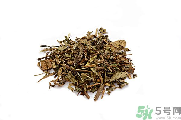 魚腥草能泡水喝嗎？魚腥草泡水喝有什么功效？