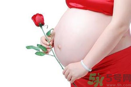 孕婦可以吃枸杞嗎？孕婦吃枸杞好嗎？