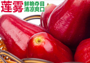 咳嗽能吃蓮霧嗎？蓮霧咳嗽可以吃嗎？