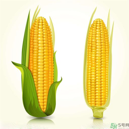 糖尿病可以吃玉米嗎？糖尿病吃玉米好嗎？