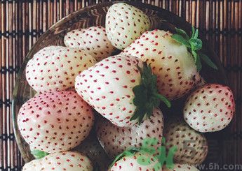 菠蘿莓好吃嗎？菠蘿莓好不好吃？