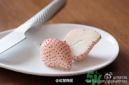 菠蘿莓好吃嗎？菠蘿莓好不好吃？