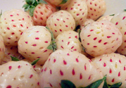 菠蘿莓孕婦能吃嗎？菠蘿莓懷孕可以吃嗎？