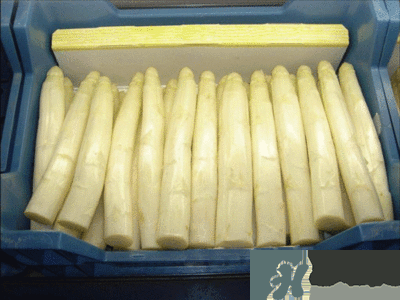 吃蘆筍注意事項(xiàng)有哪些？蘆筍有什么藥用功效？