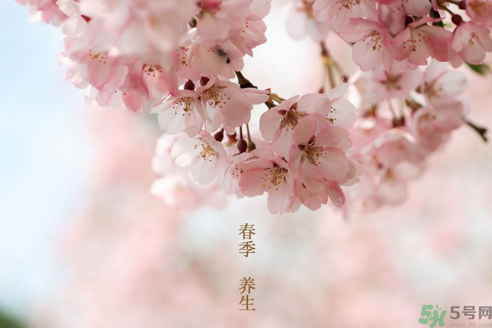 女性春季養(yǎng)生吃什么？女性春季怎么養(yǎng)生？