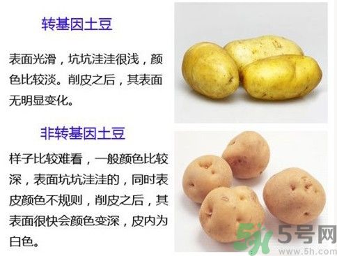 土豆變綠還能吃嗎？土豆變綠有什么危害？