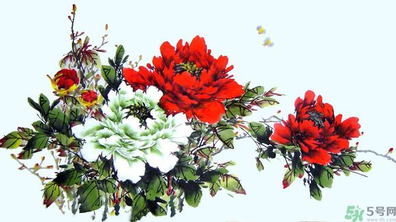 牡丹的花語是什么？牡丹的寓意是什么？
