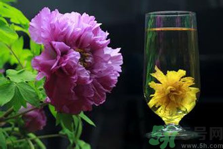 牡丹花可以和菊花一起泡嗎？牡丹花和菊花一起泡茶好嗎？
