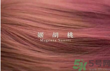 九大色系染發(fā)要怎么選擇？九大色系染發(fā)有什么要求？