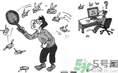 1分鐘被騙334萬(wàn) 釣魚(yú)郵件內(nèi)容是什么？