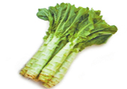萵筍可以和芹菜一起炒嗎？萵筍和芹菜一起炒好嗎？