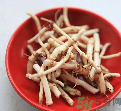 魚腥草可以炎癥嗎？魚腥草怎么治炎癥？