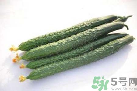 黃瓜可以和牛奶一起吃嗎？黃瓜和牛奶一起吃好嗎？
