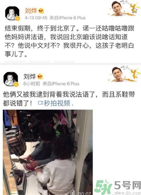 諾一雪梨是誰？為什么叫諾一雪梨？