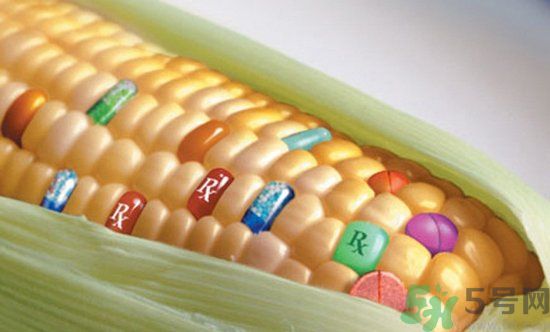 農(nóng)業(yè)部怎樣回應(yīng)轉(zhuǎn)基因食品？轉(zhuǎn)基因的食物有哪些？