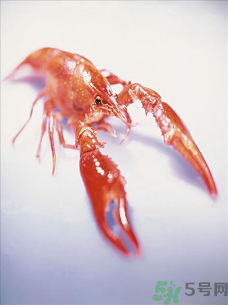 油燜大蝦為什么肉散了？油燜大蝦怎么做肉不散？