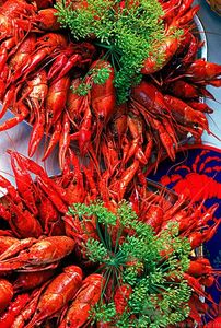 油燜大蝦用的是什么蝦？油燜大蝦用什么蝦最好？