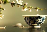 春天喝什么茶養(yǎng)生最好？春天喝茶要注意什么？