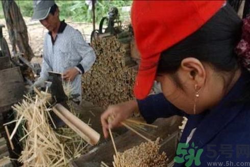 經常用一次性筷子可以嗎？一次性筷子有病毒嗎？