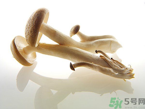 菇類的營(yíng)養(yǎng)價(jià)值有哪些？怎樣挑選優(yōu)質(zhì)的菇類？