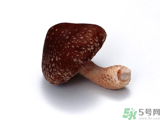 西紅柿發(fā)青可以吃嗎？青西紅柿吃了好不好？