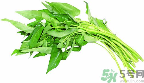 空心菜和雞能一起吃嗎？空心菜怎么吃有營養(yǎng)？