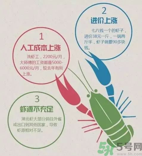 小龍蝦多少錢一斤？吃小龍蝦要注意些什么？