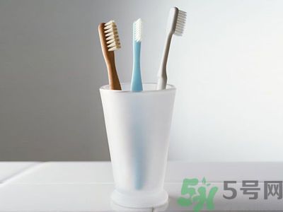 牙齦出血要換牙刷嗎？牙刷多久換一次好？