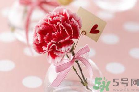 母親節(jié)送什么顏色的康乃馨？母親節(jié)應(yīng)該買(mǎi)什么顏色的康乃馨？