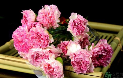 母親節(jié)送什么花好？母親節(jié)應(yīng)該送什么鮮花？