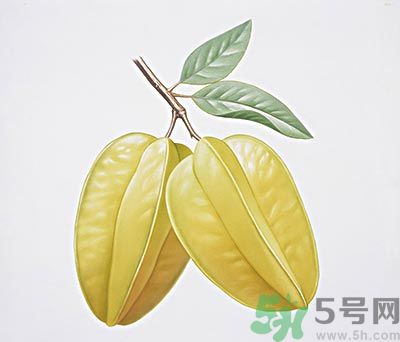 楊桃和什么不能一起吃？楊桃不能與什么同食？