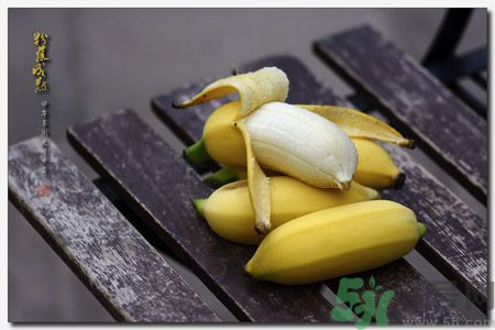 什么是牛奶蕉？牛奶蕉好吃嗎？