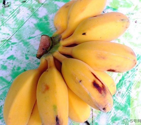 什么是牛奶蕉？牛奶蕉好吃嗎？