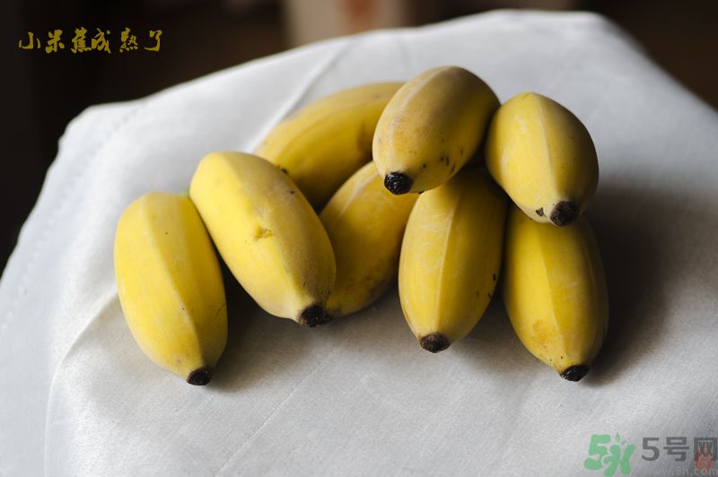 牛奶蕉可以和蘋果一起吃嗎？牛奶蕉和蘋果一起吃好嗎？