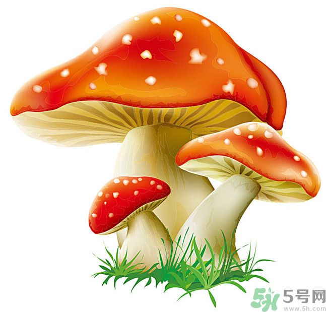 吃蘑菇可以喝酒嗎？吃蘑菇喝酒會(huì)中毒嗎？