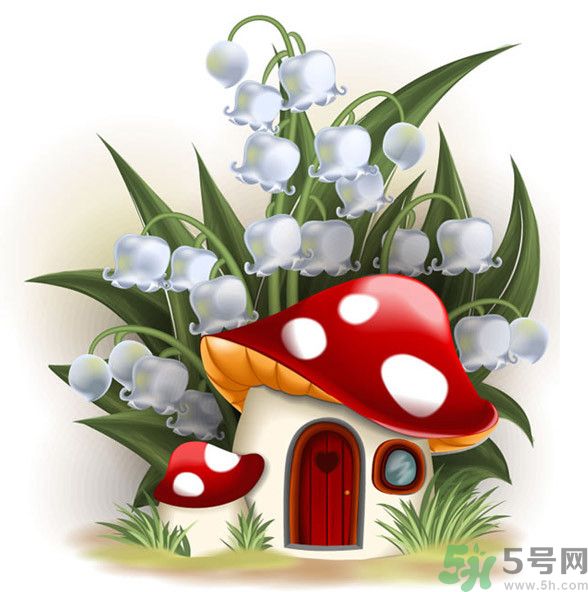 吃蘑菇可以喝酒嗎？吃蘑菇喝酒會(huì)中毒嗎？