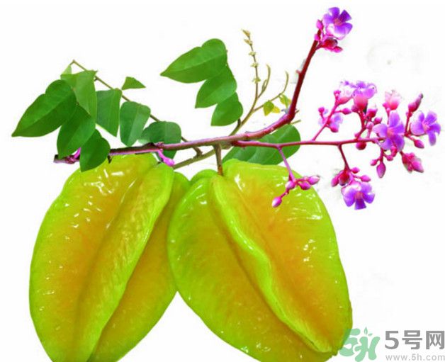 慢性腎炎可以吃楊桃嗎？慢性腎炎吃楊桃好嗎？