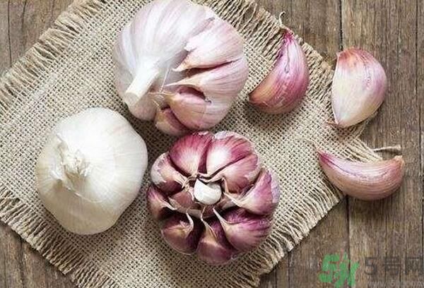 提高記憶力要吃什么食物？吃什么食物提高記憶力？