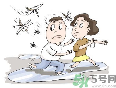 被蚊子咬很癢怎么辦？被蚊子咬要怎么止癢？