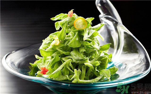 什么是冰草？冰草有什么作用？