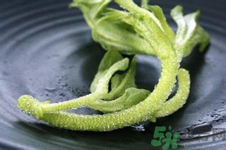 冰草好吃嗎？冰草怎么做好吃？