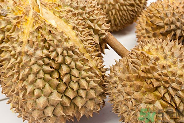 吃榴蓮會上火嗎？榴蓮是發(fā)物嗎？