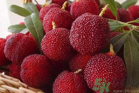 胃潰瘍可以吃楊梅嗎？胃潰瘍吃楊梅好嗎？