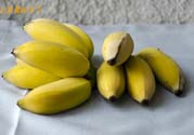 牛奶蕉可以減肥嗎？牛奶蕉怎么吃減肥？